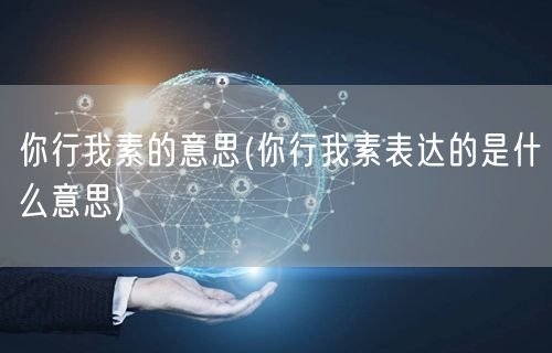 你行我素的意思(你行我素表达的是什么意思)