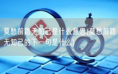 莫愁前路无知己是什么意思(莫愁前路无知己的下一句是什么)