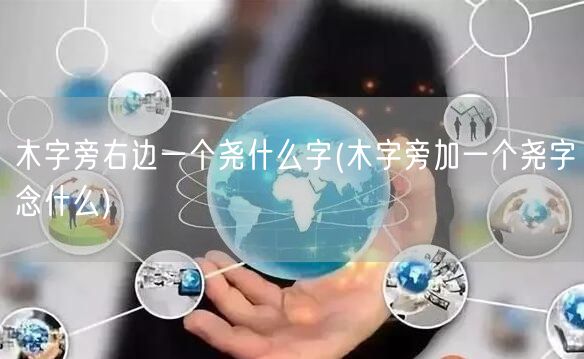 木字旁右边一个尧什么字(木字旁加一个尧字念什么)