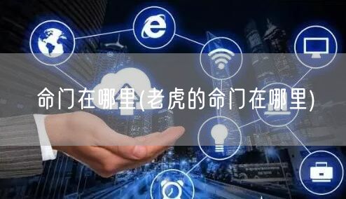 命门在哪里(老虎的命门在哪里)