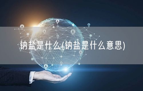 钠盐是什么(钠盐是什么意思)