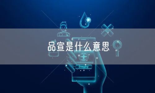 品宣是什么意思