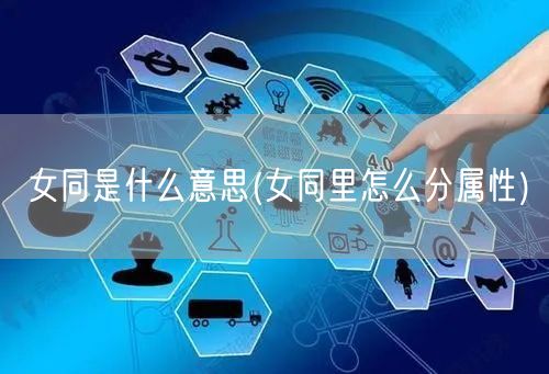 女同是什么意思(女同里怎么分属性)