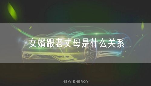 女婿跟老丈母是什么关系