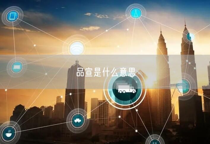 品宣是什么意思