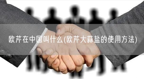 欧芹在中国叫什么(欧芹大蒜盐的使用方法)
