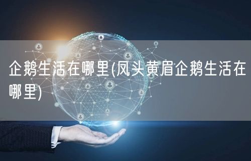 企鹅生活在哪里(凤头黄眉企鹅生活在哪里)