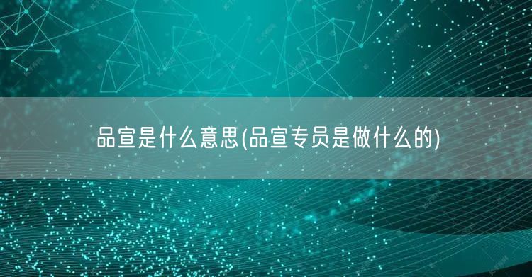 品宣是什么意思(品宣专员是做什么的)