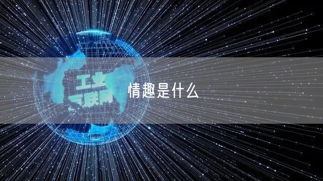 情趣是什么