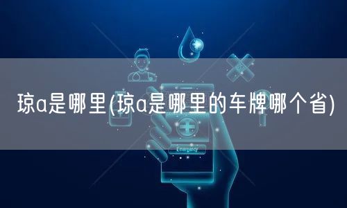 琼a是哪里(琼a是哪里的车牌哪个省)