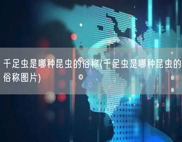 千足虫是哪种昆虫的俗称(千足虫是哪种昆虫的俗称图片)
