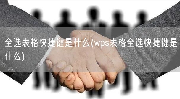 全选表格快捷键是什么(wps表格全选快捷键是什么)