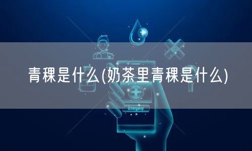 青稞是什么(奶茶里青稞是什么)