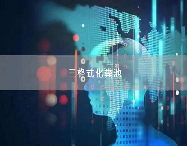 三格式化粪池