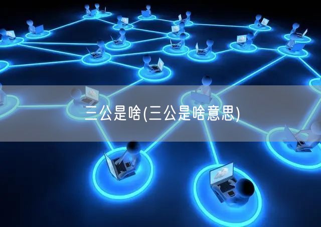 三公是啥(三公是啥意思)