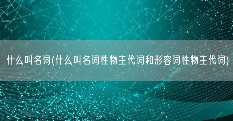 什么叫名词(什么叫名词性物主代词和形容词性物主代词)