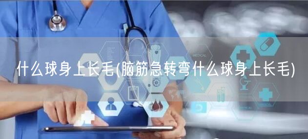 什么球身上长毛(脑筋急转弯什么球身上长毛)